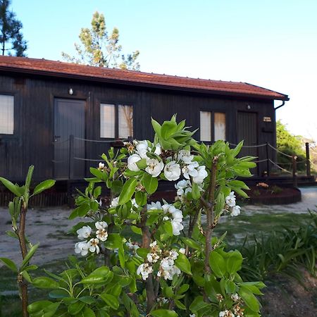 Casinha Do Cedro Villa Baião Dış mekan fotoğraf