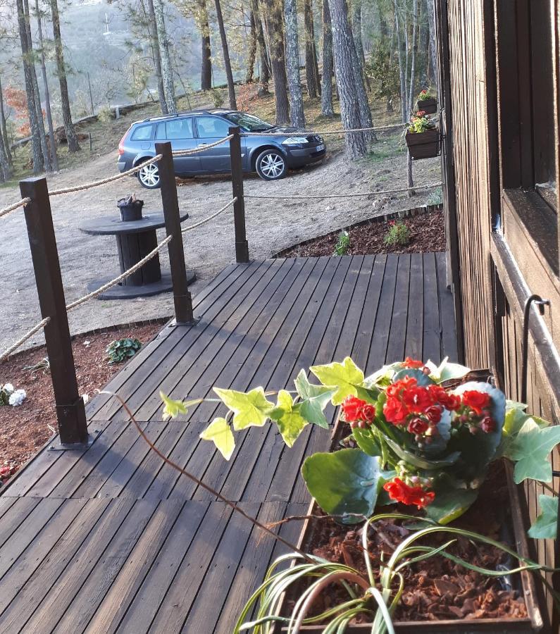 Casinha Do Cedro Villa Baião Dış mekan fotoğraf