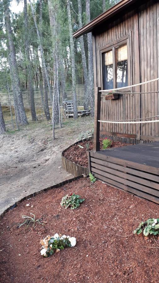 Casinha Do Cedro Villa Baião Dış mekan fotoğraf