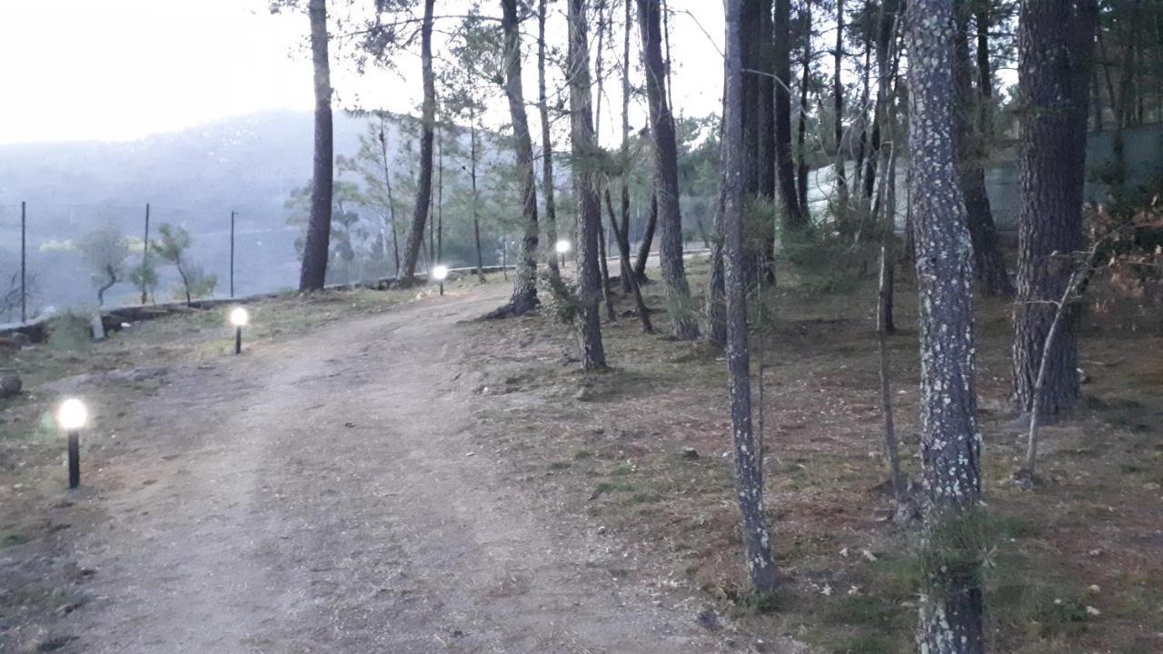 Casinha Do Cedro Villa Baião Dış mekan fotoğraf