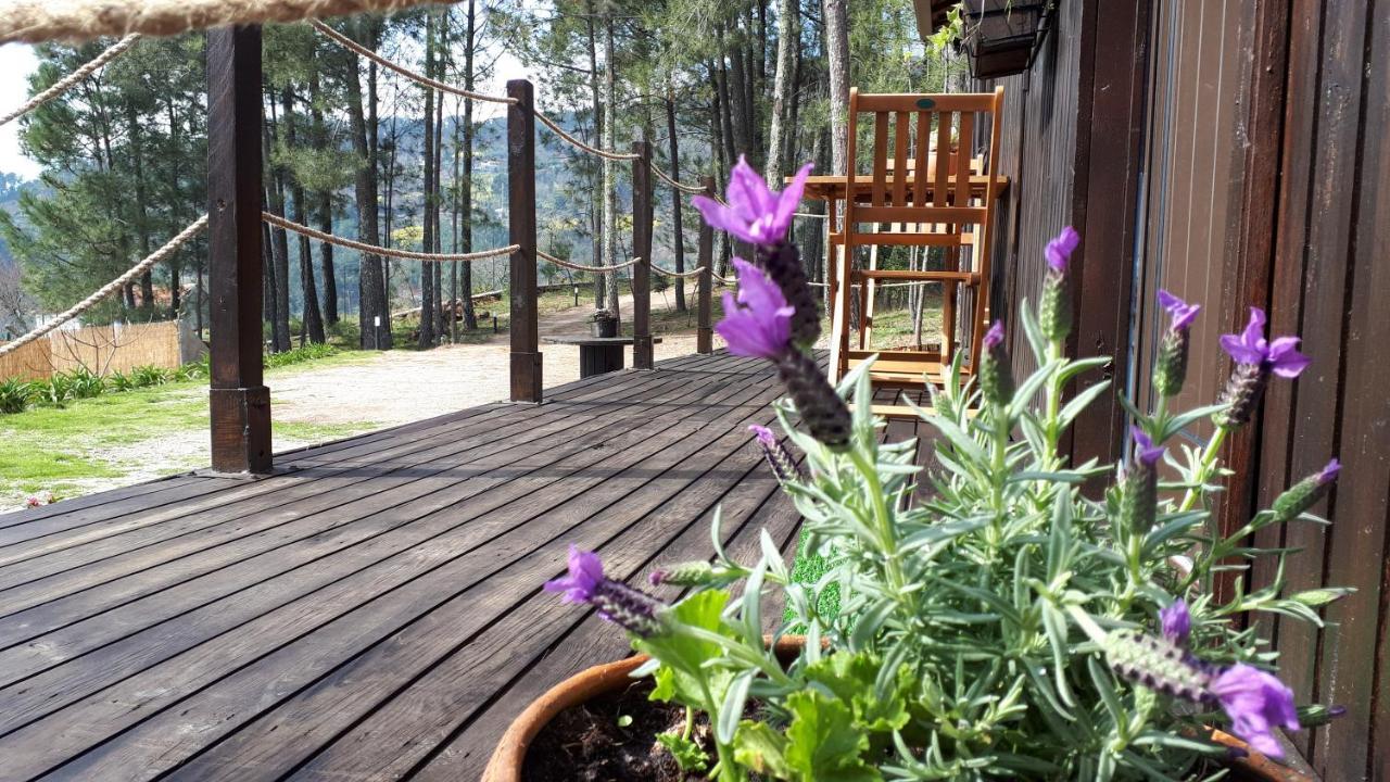 Casinha Do Cedro Villa Baião Dış mekan fotoğraf